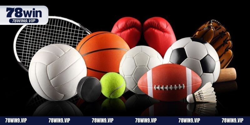 SBO Sports – Tỷ lệ kèo hấp dẫn, cập nhật theo thời gian thực